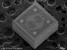 1668070173900357.png image.png